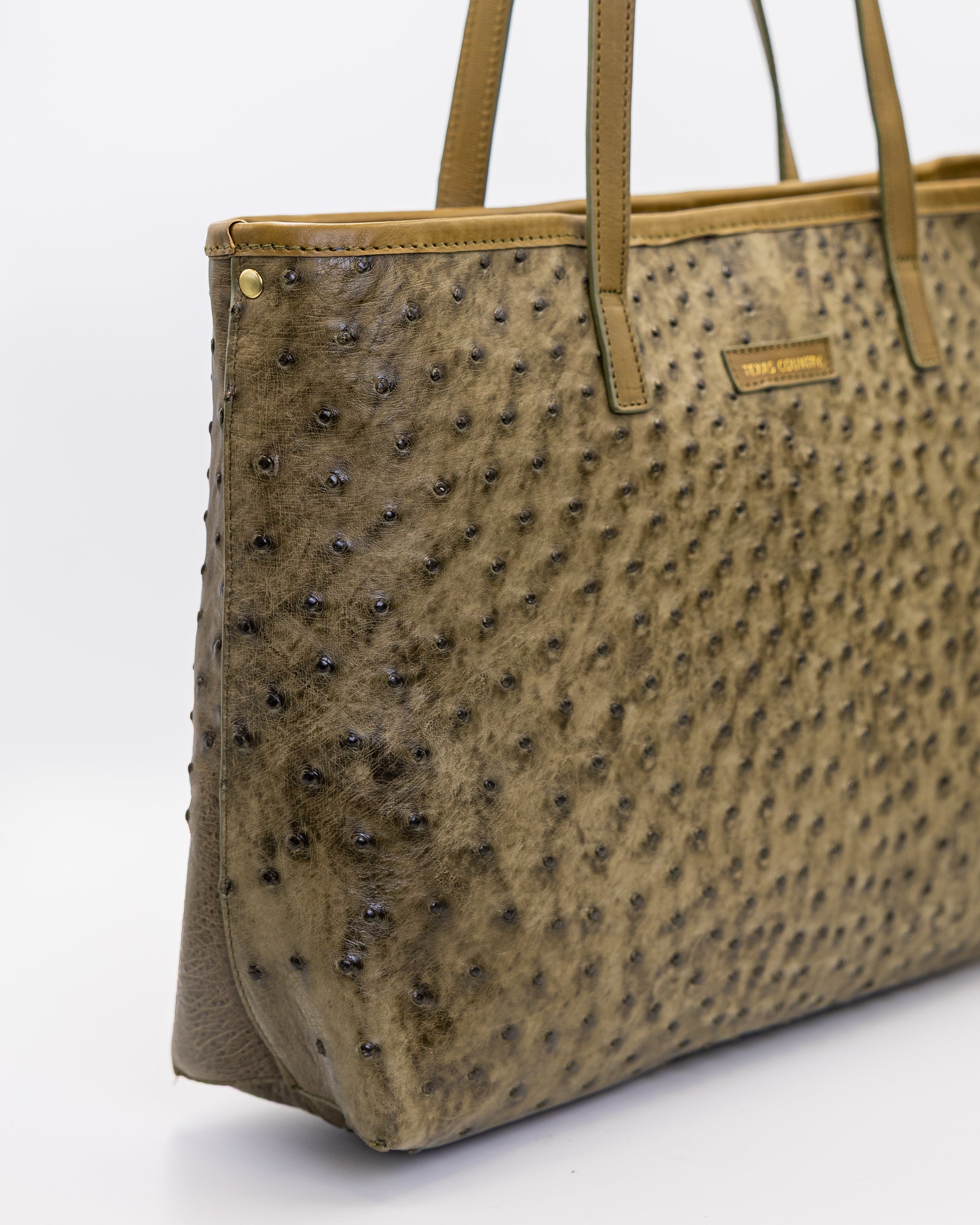 Addison Agave Tote