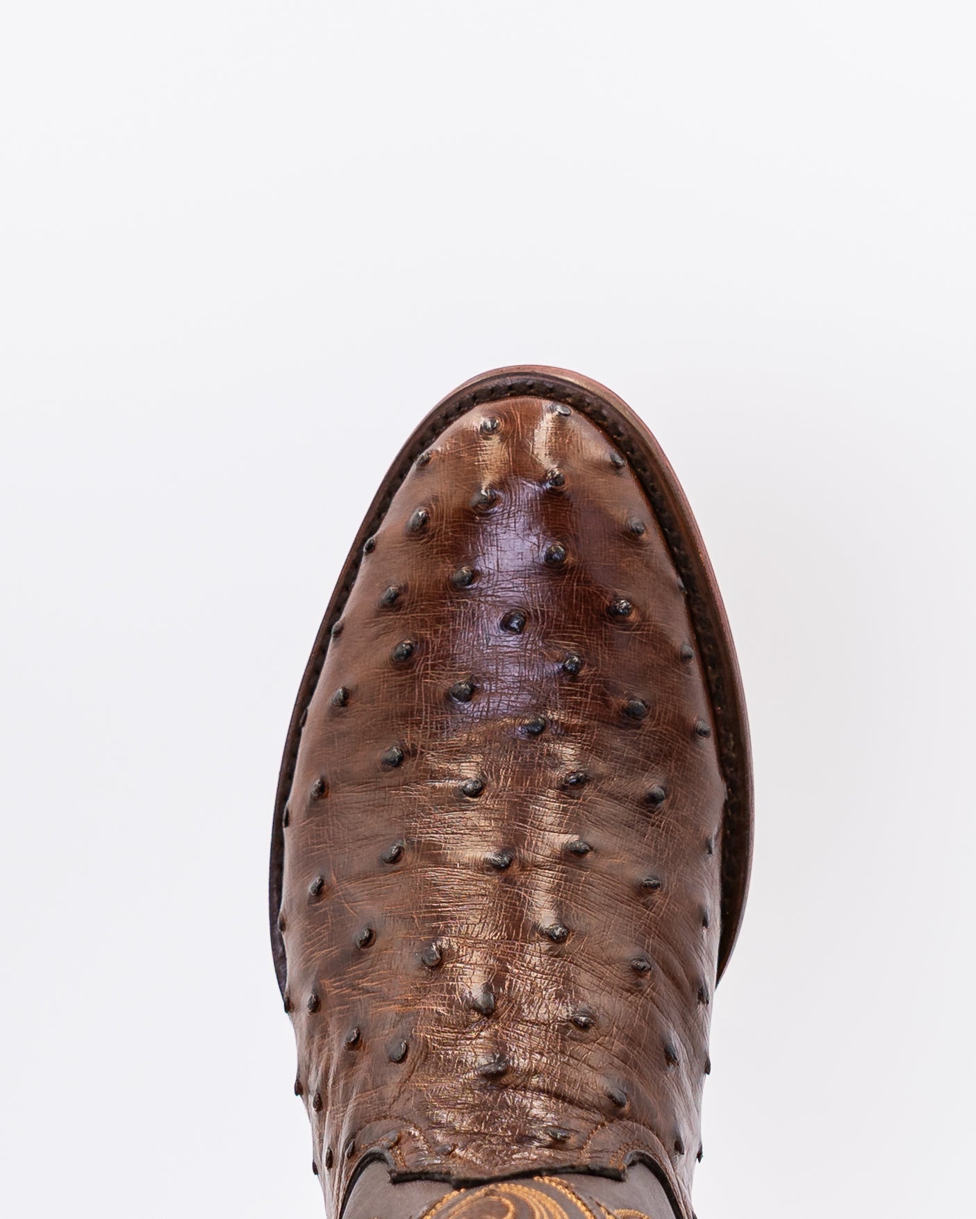 Nate Brunette