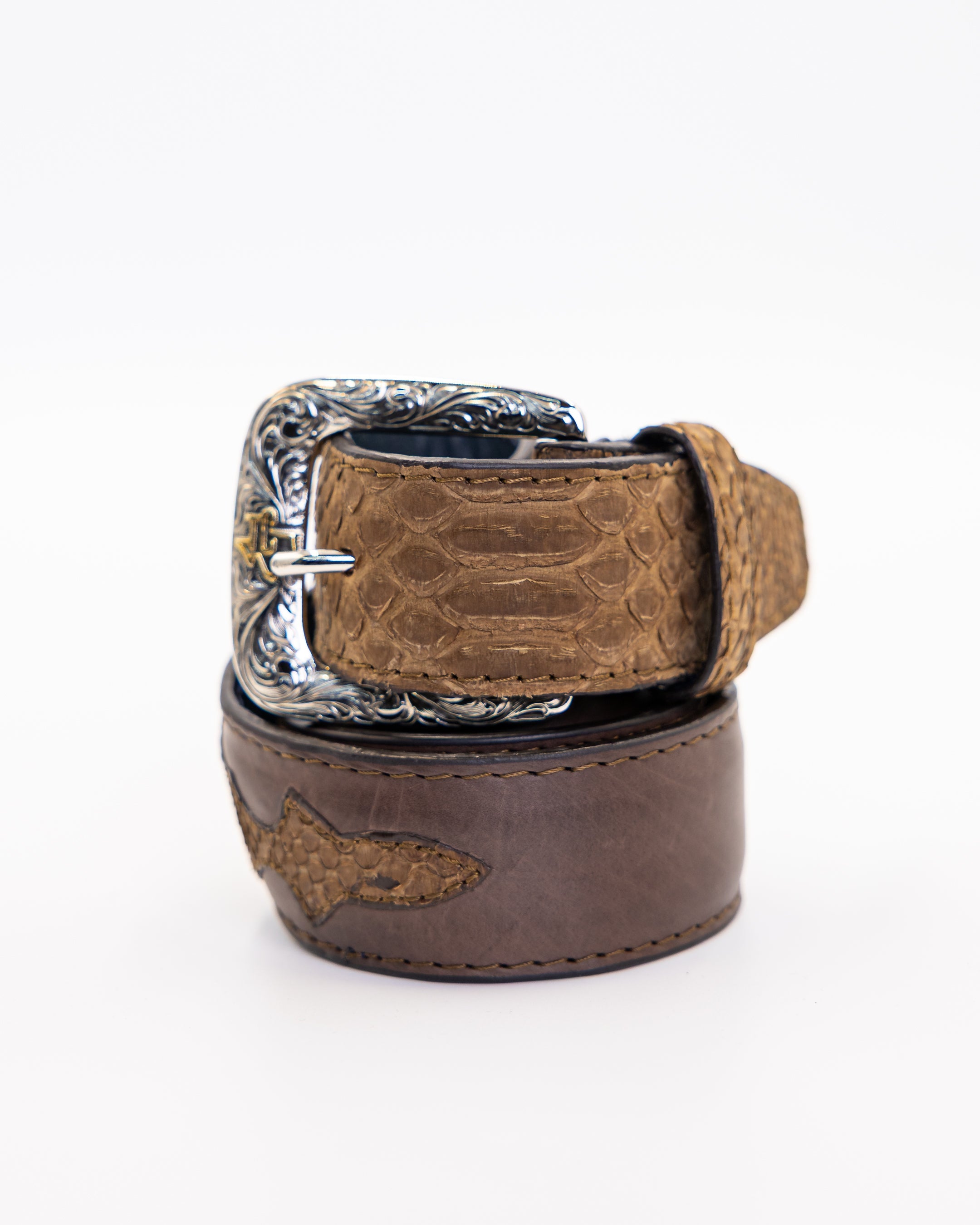 Python Tamarindo