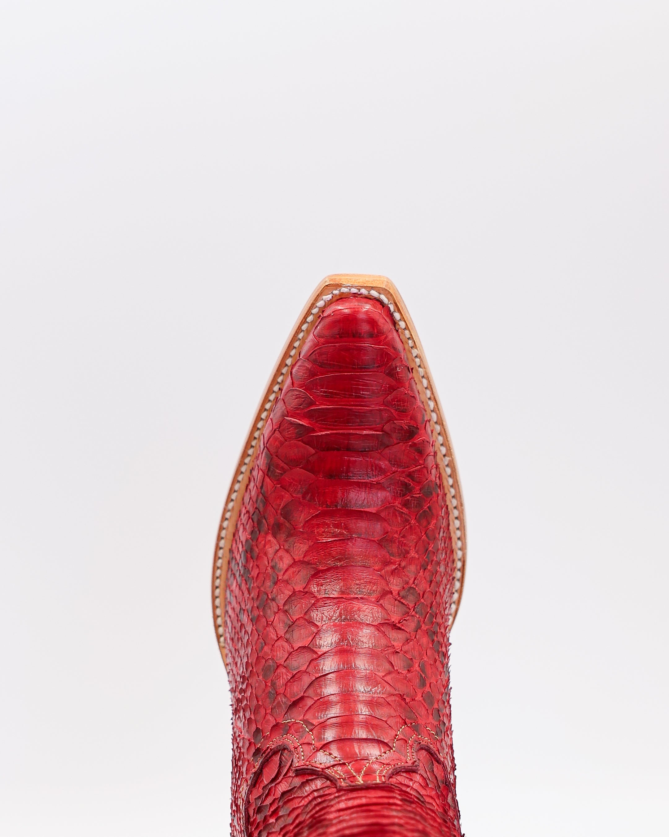 Alice Rose Python