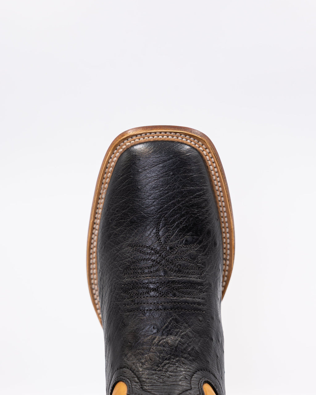 Ostrix Coal/Camel