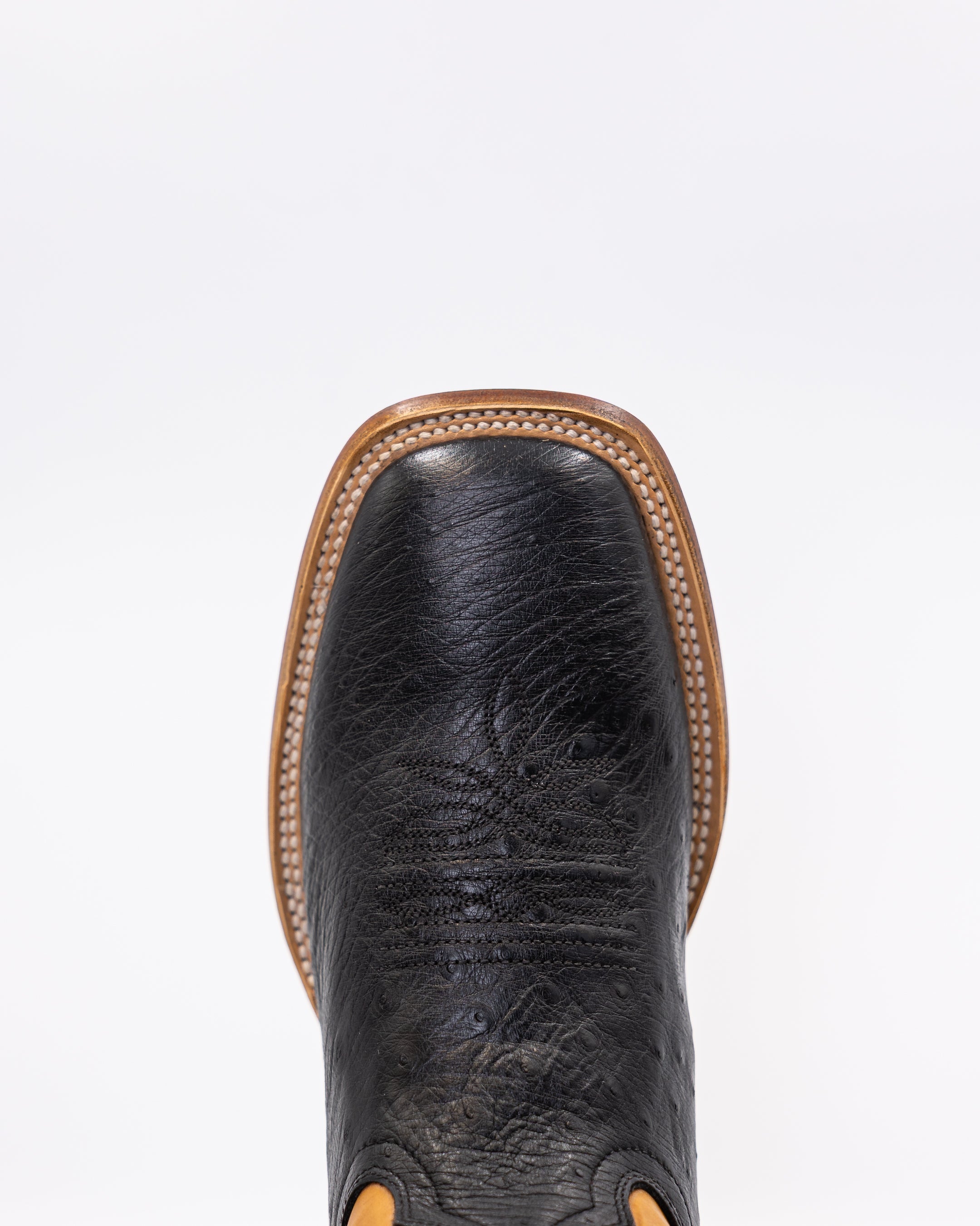 Ostrix Coal/Camel